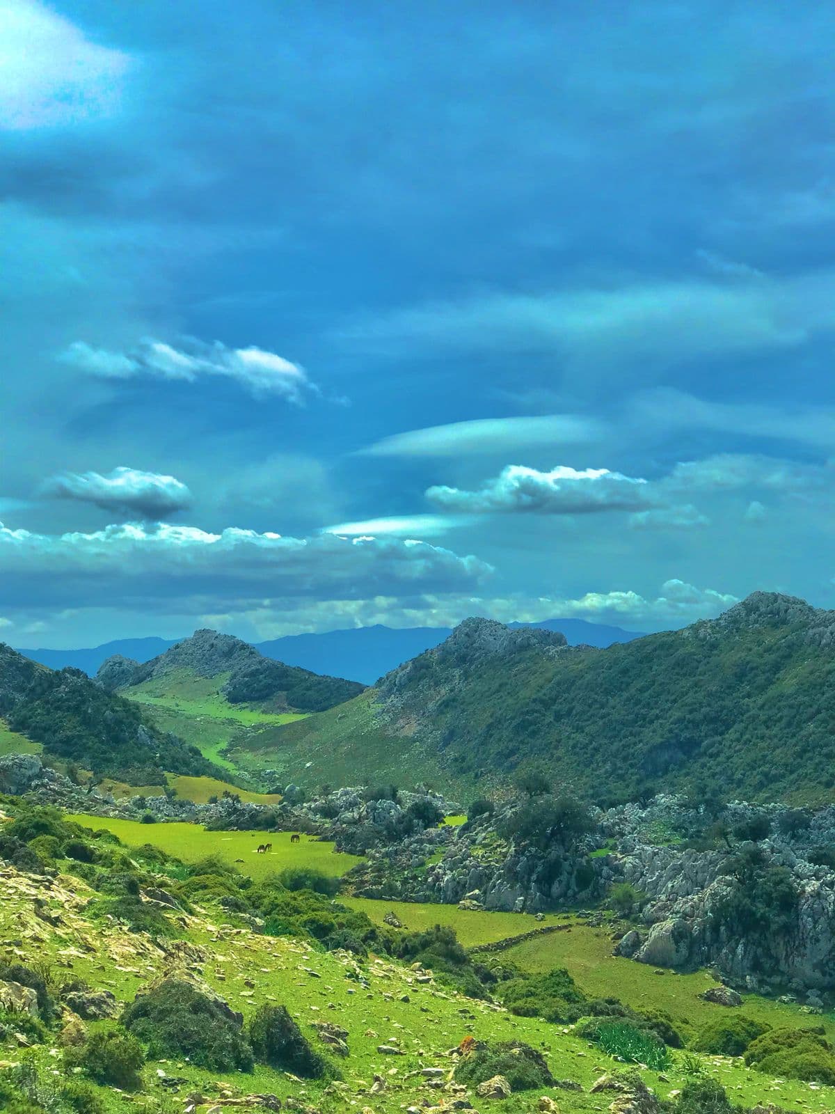 Image b for Tangier, Morocco