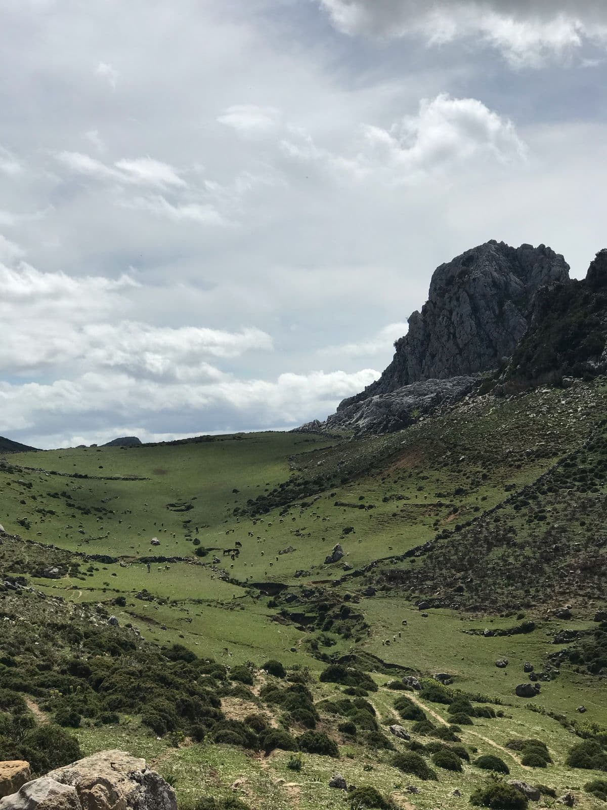 Image e for Tangier, Marruecos