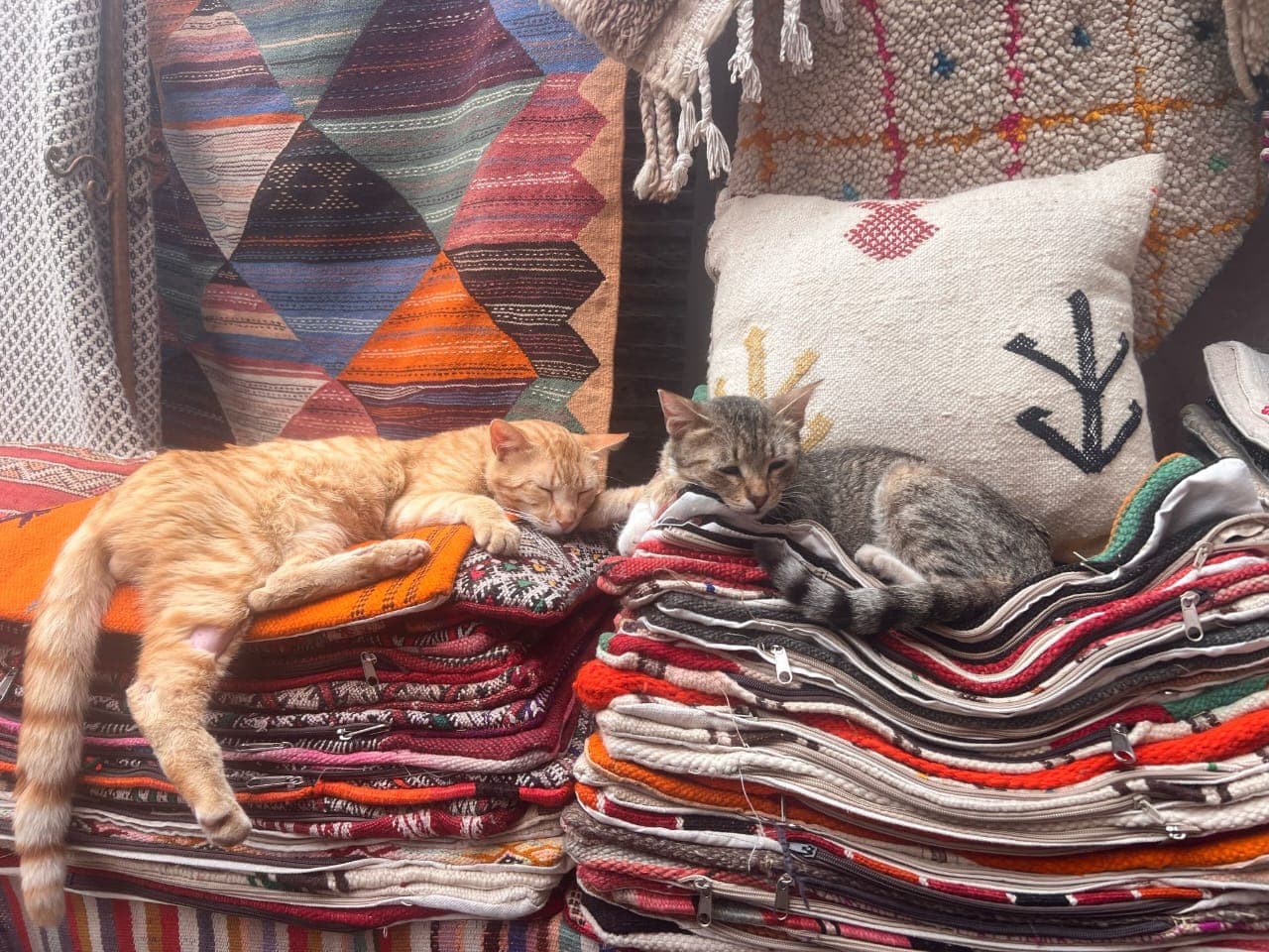 Tour 13 Tage Casablanca Marrakesch photo 2