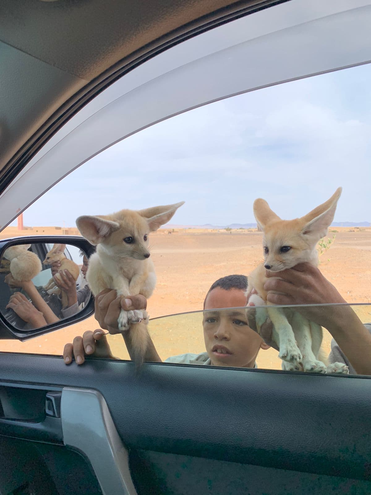 Tour 6 giorni Ouarzazate sud