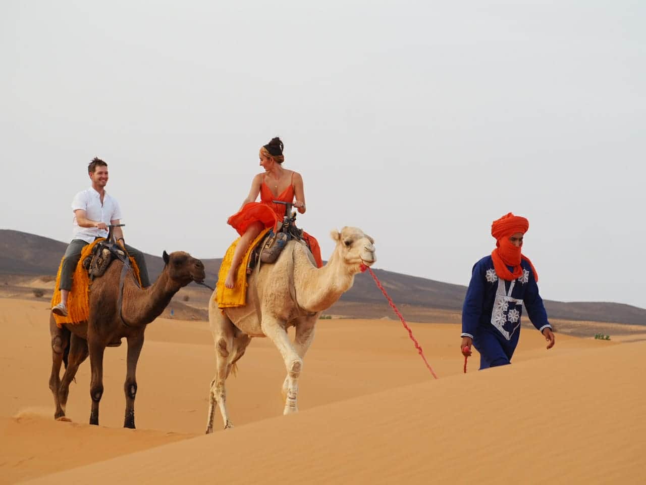 Desert Camel Caravan