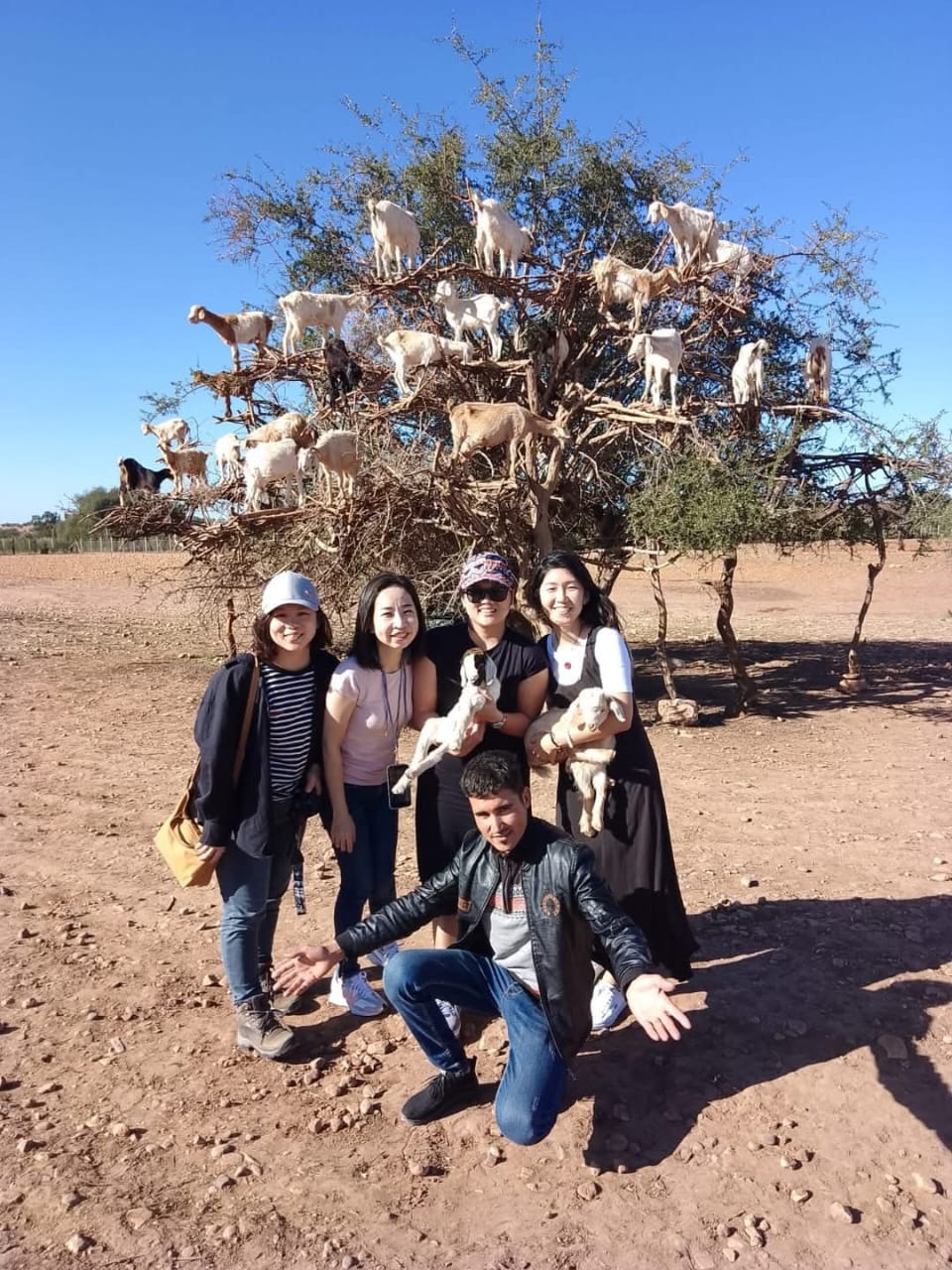 Argan Roots Tour
