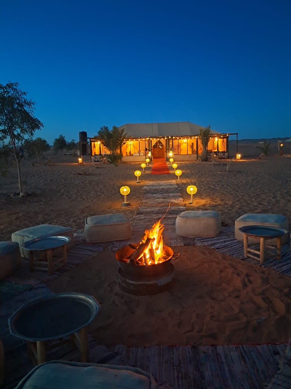 Campfire Under the Stars
