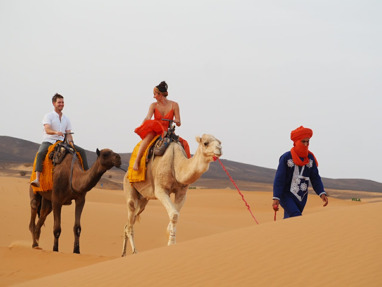 Desert Camel Caravan